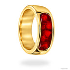 Internal Ring