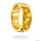 Internal Ring